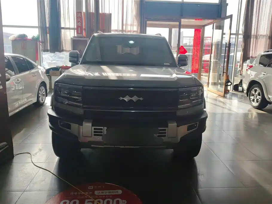 FANG CHENG BAO LEOPARD 5