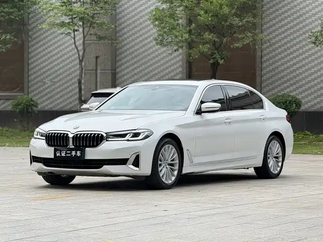 BMW 5 525Li, Люкс-пакет