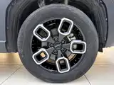 صورة 8 - Haval Cool Dog