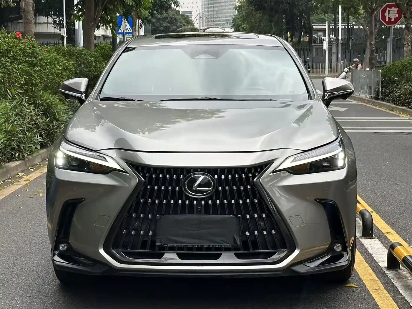 LEXUS NX