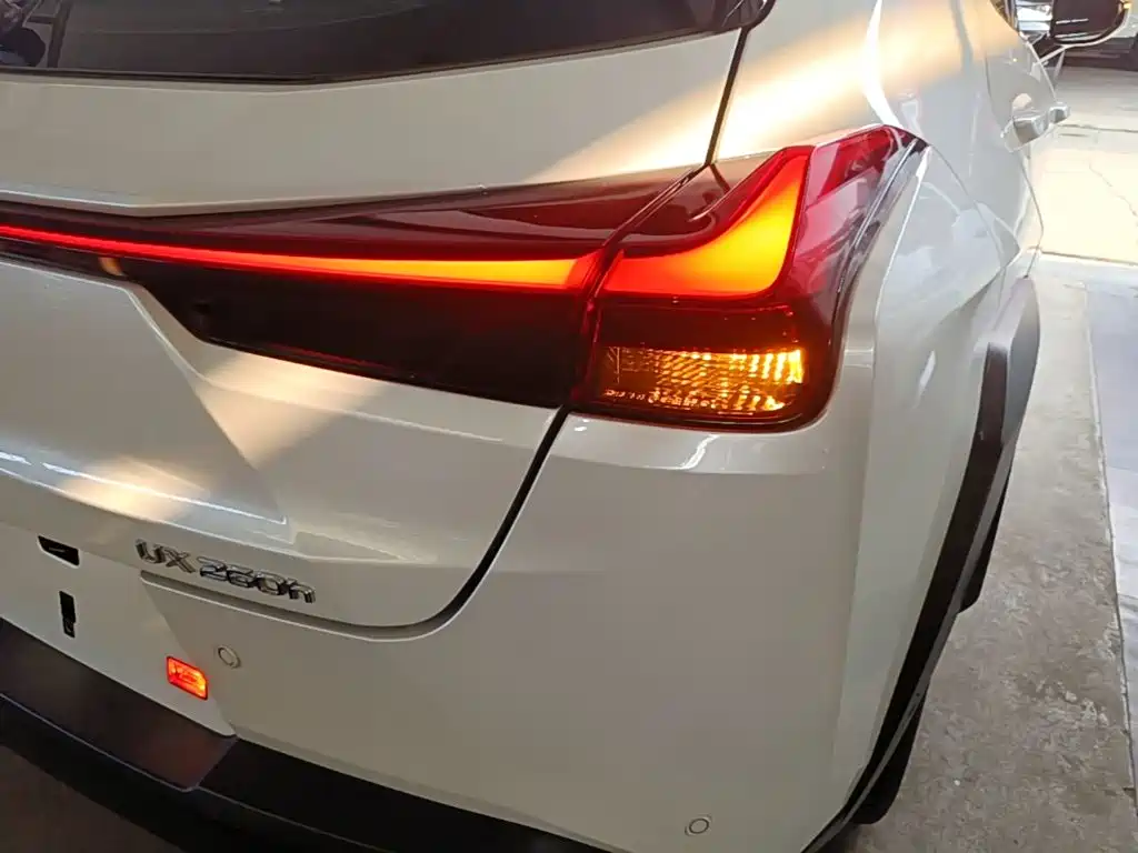 Lexus UX 2021 2020 260h Explore Fun Edition