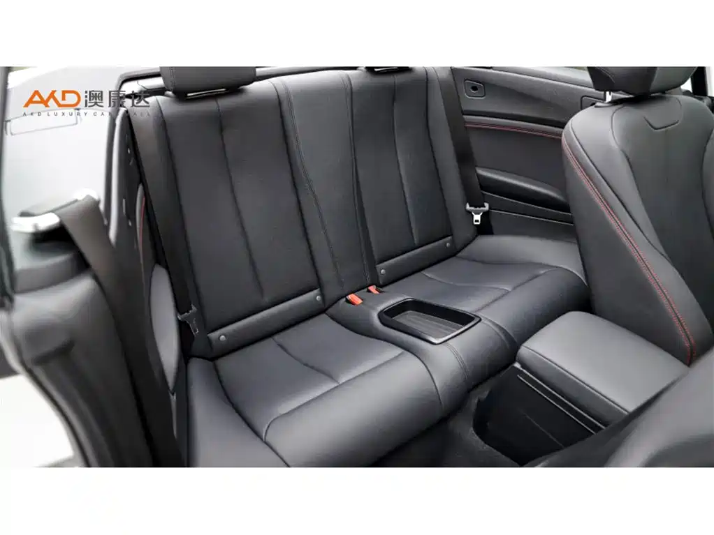 BMW 2 Series (Import) 2019 225i Convertible Coupe Sport Design Package фото 8