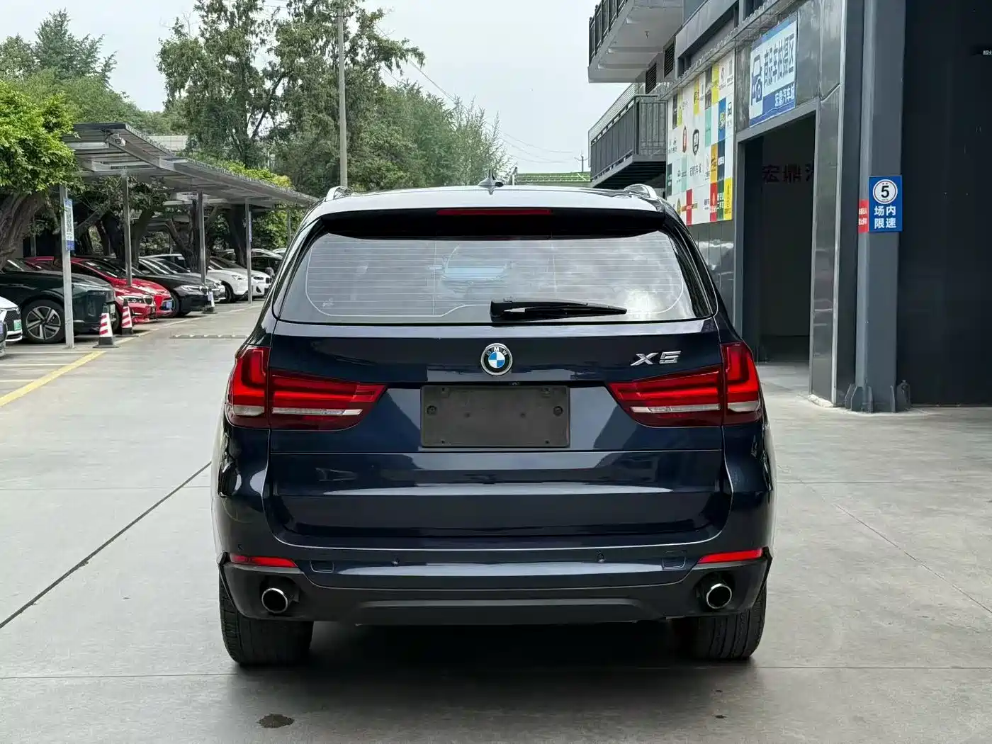 BMW X5 (Import) 2014 xDrive35i Elegance фото 8