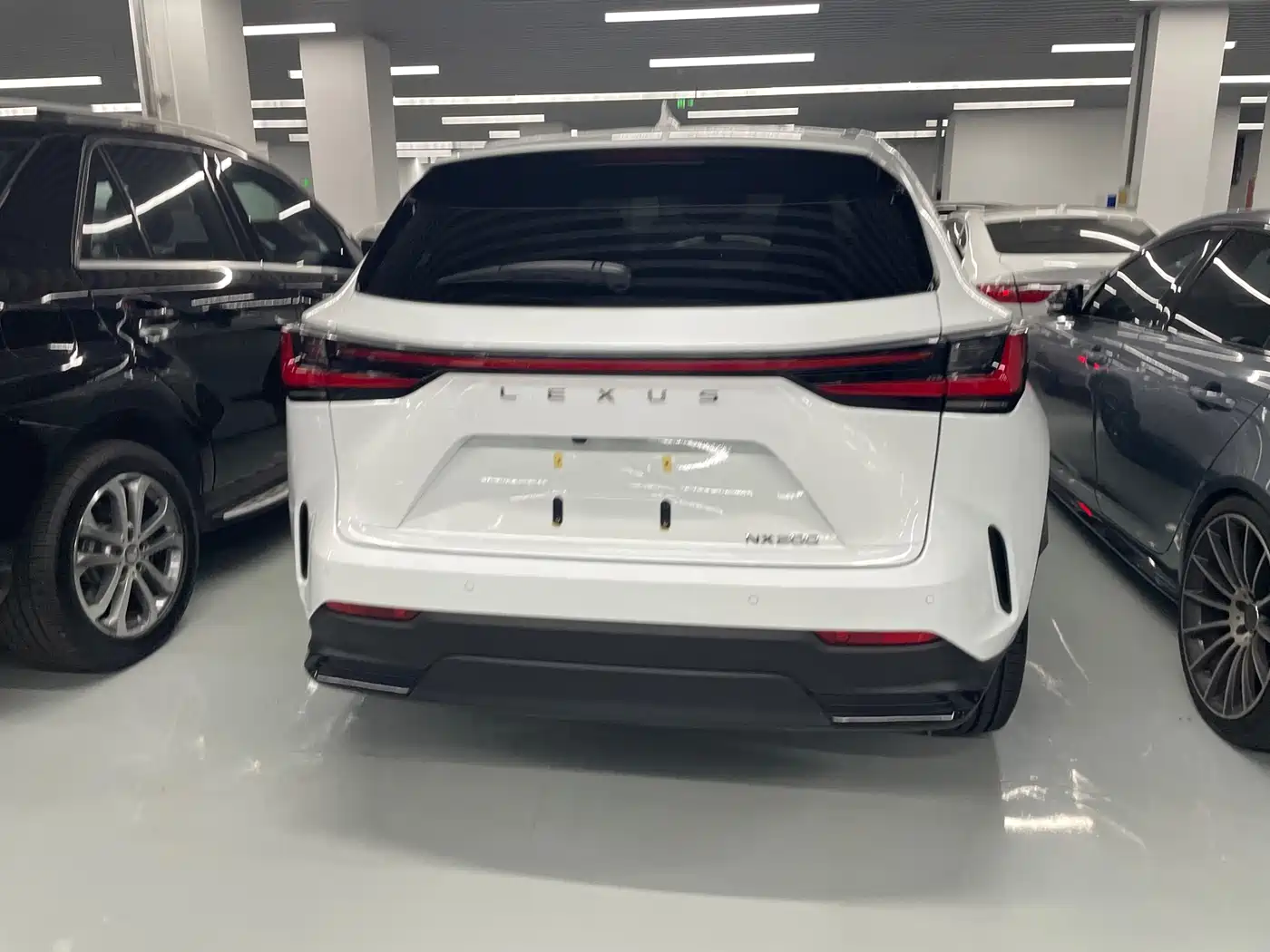 LEXUS NX