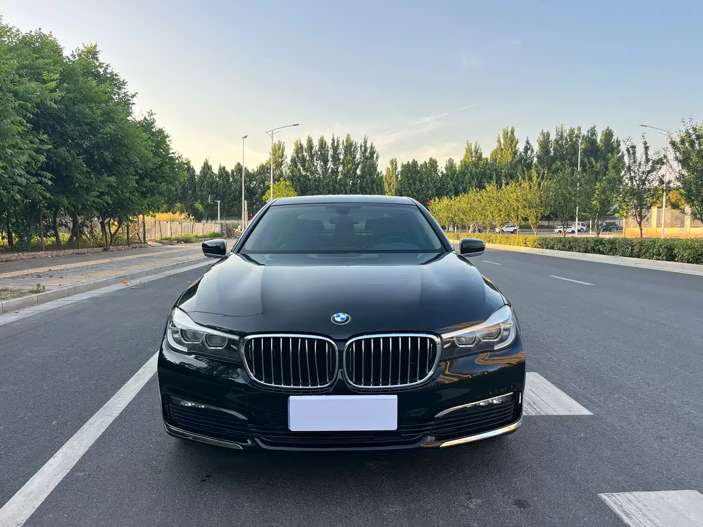 BMW 7 Series 2017 730Li Leading Edition фото 2