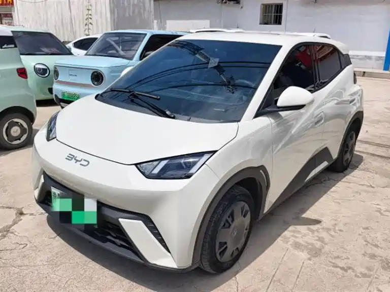 BYD Seagull 2024 Glory Edition 305km Vitality Edition