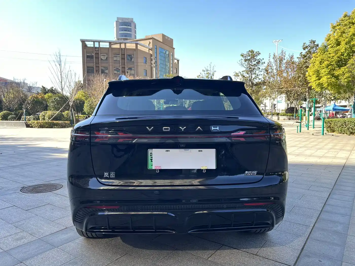 Voyah Auto Voyah Zhiyin 2024 Long Range Smart Edition фото 5