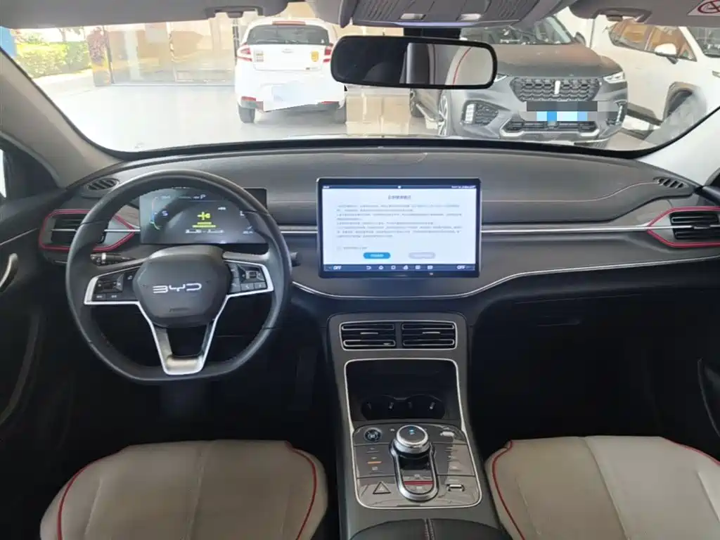 BYD Destroyer 05 2023 Champion Edition DM-i 55KM Luxury фото 10