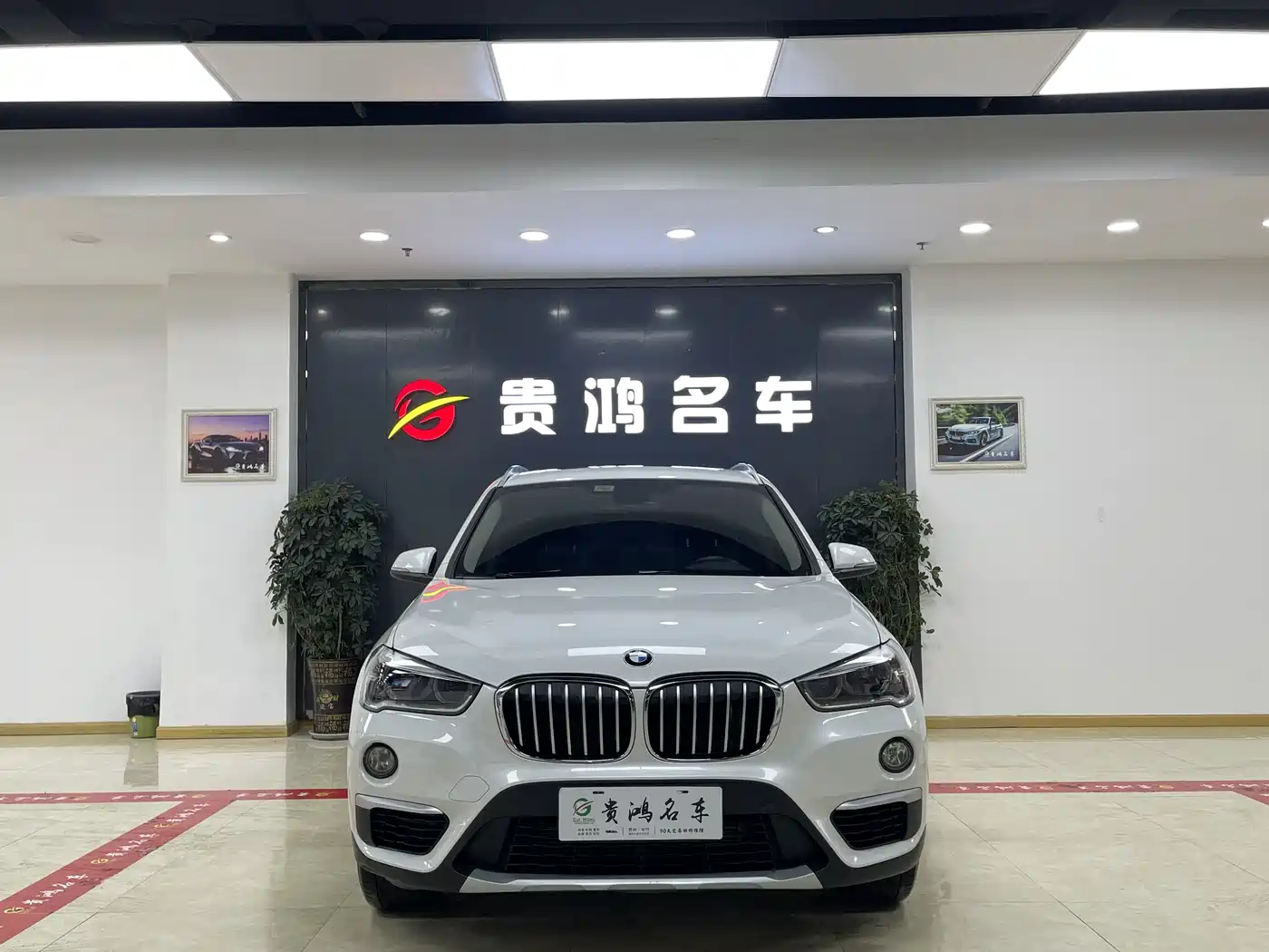 BMW X1 2019 xDrive20Li Premium Model фото 2