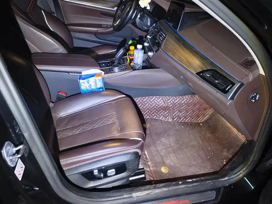 BMW 5 Series 2020 530Li Leading M Sport Package фото 8