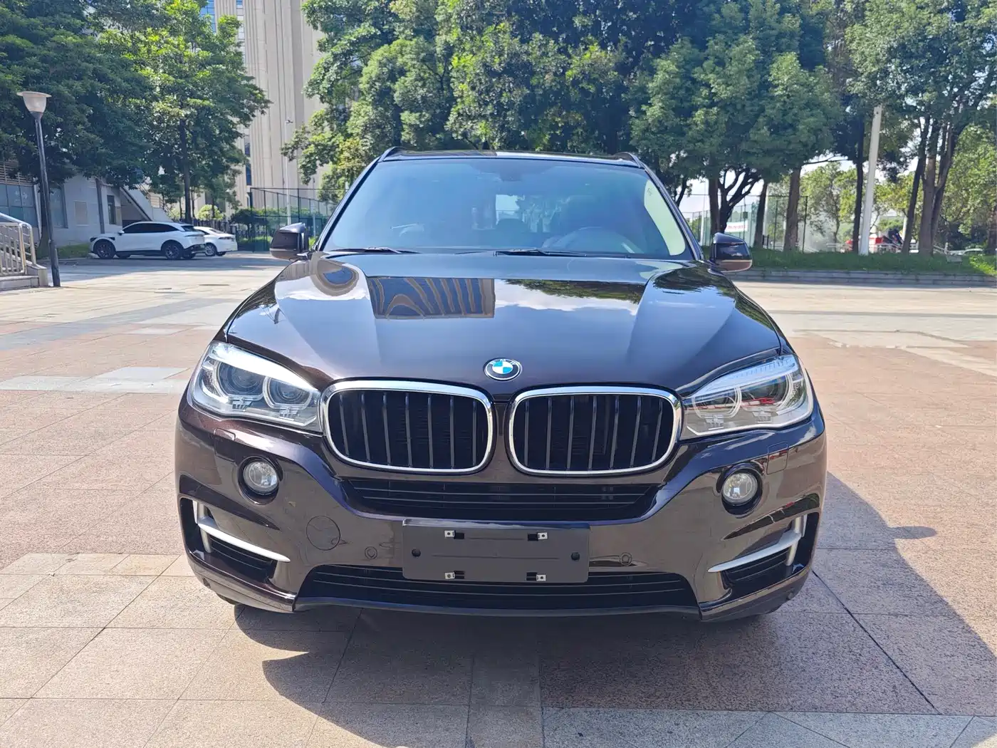 BMW X5 (Import) 2015 xDrive28i фото 2