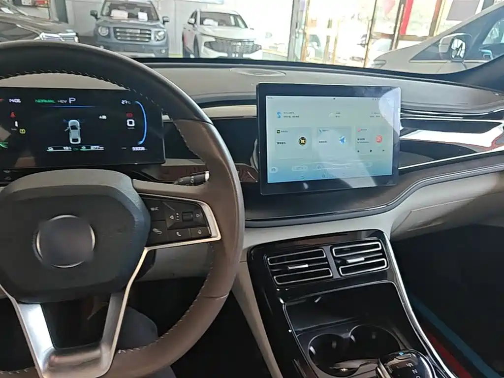 BYD Qin PLUS 2021 DM-i 55KM Premium фото 10