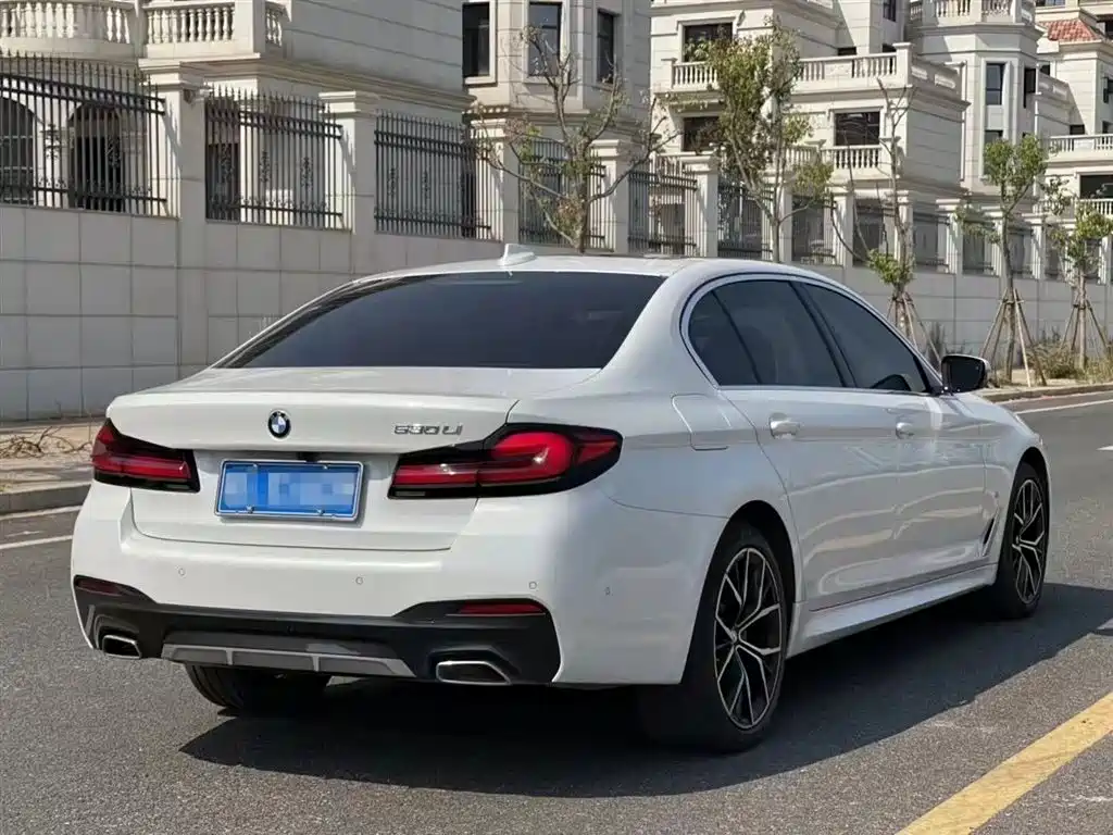 BMW 5 Series 2021 530Li Premium M Sport Package фото 3