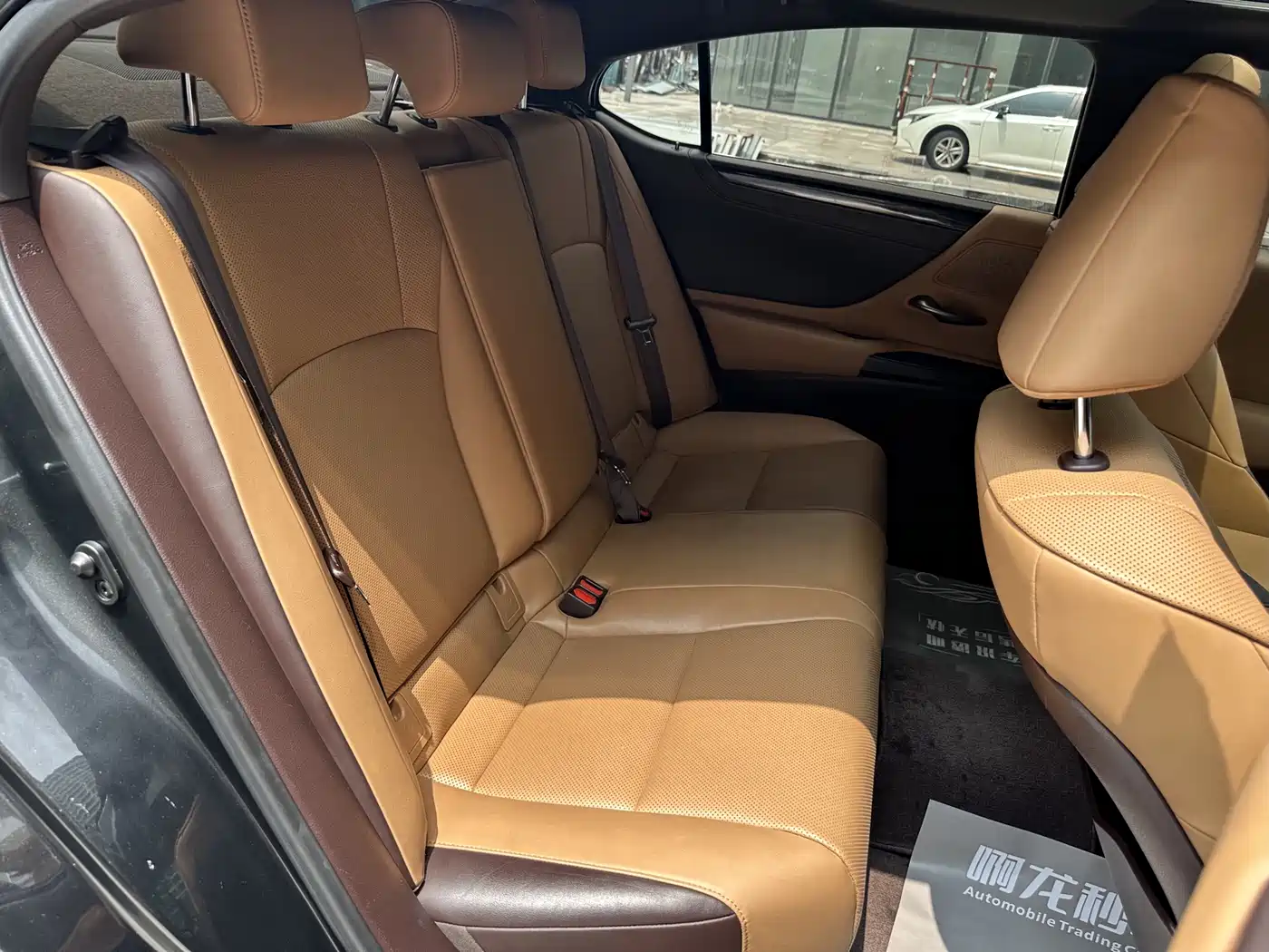 Lexus ES 2020 200 Excellence фото 16