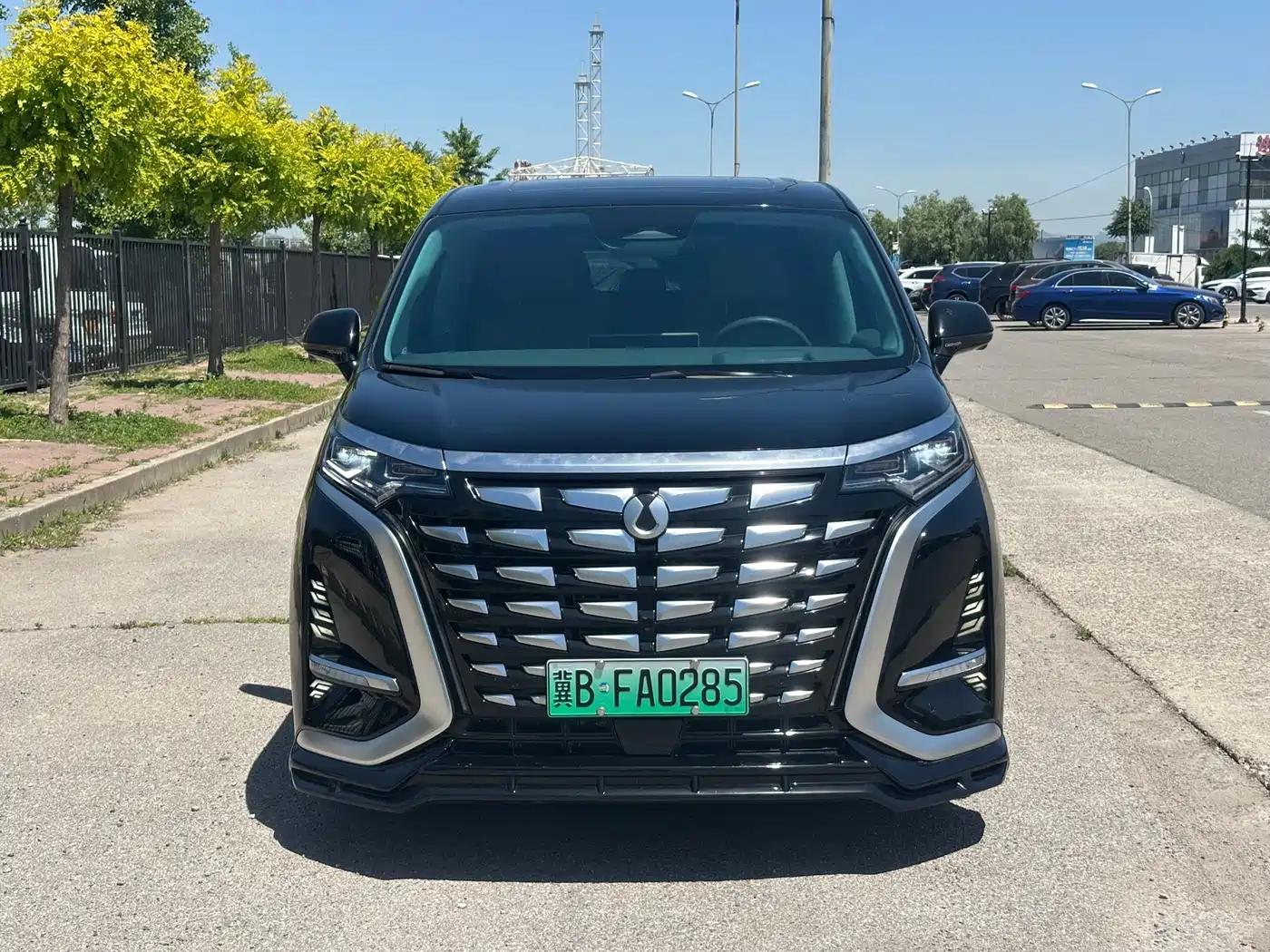 Denza D9 2022 DM-i 970 All-Wheel Drive Honor Edition фото 2
