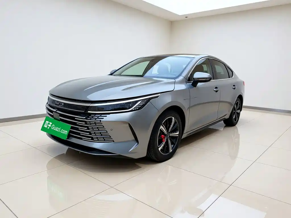 BYD Destroyer 05 2023 2022 DM-i 55KM Premium