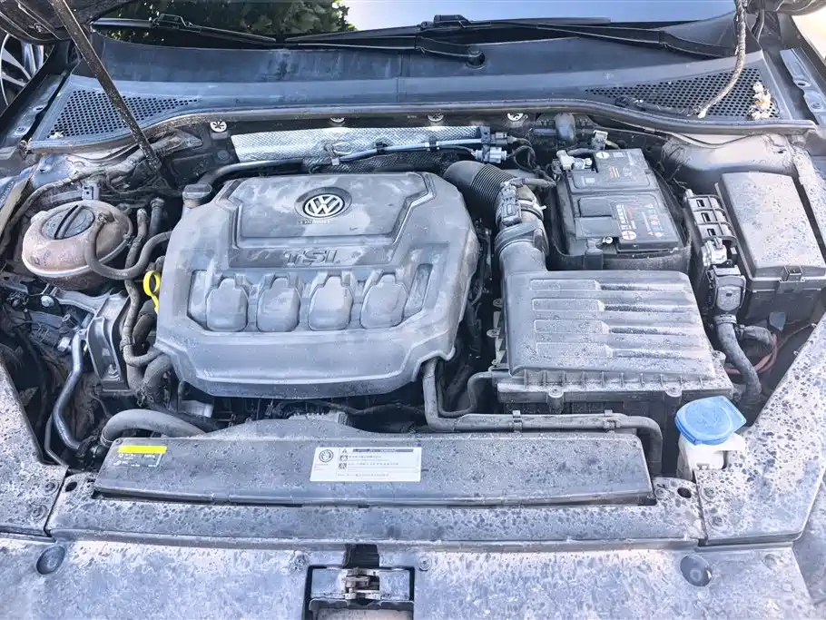 Volkswagen Magotan 2020 330TSI DSG Luxury фото 10