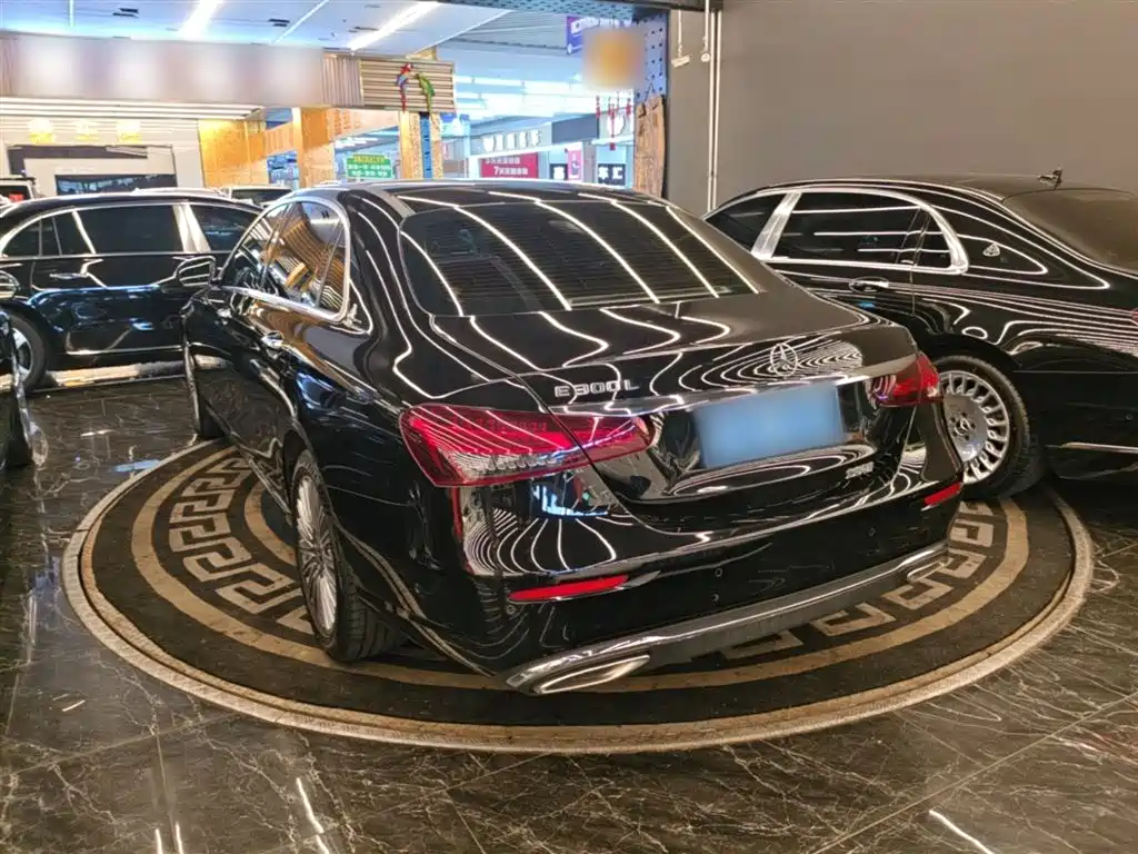 Mercedes-Benz E-Class 2023 E 300 L Luxury фото 5