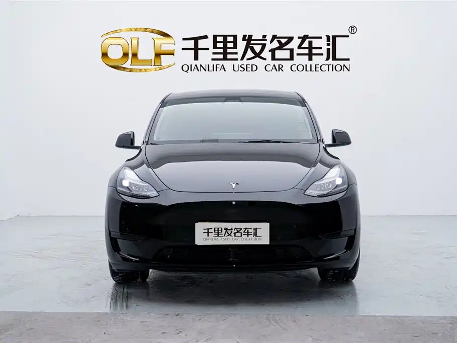 Tesla Model Y 2022 Rear-Wheel Drive Version