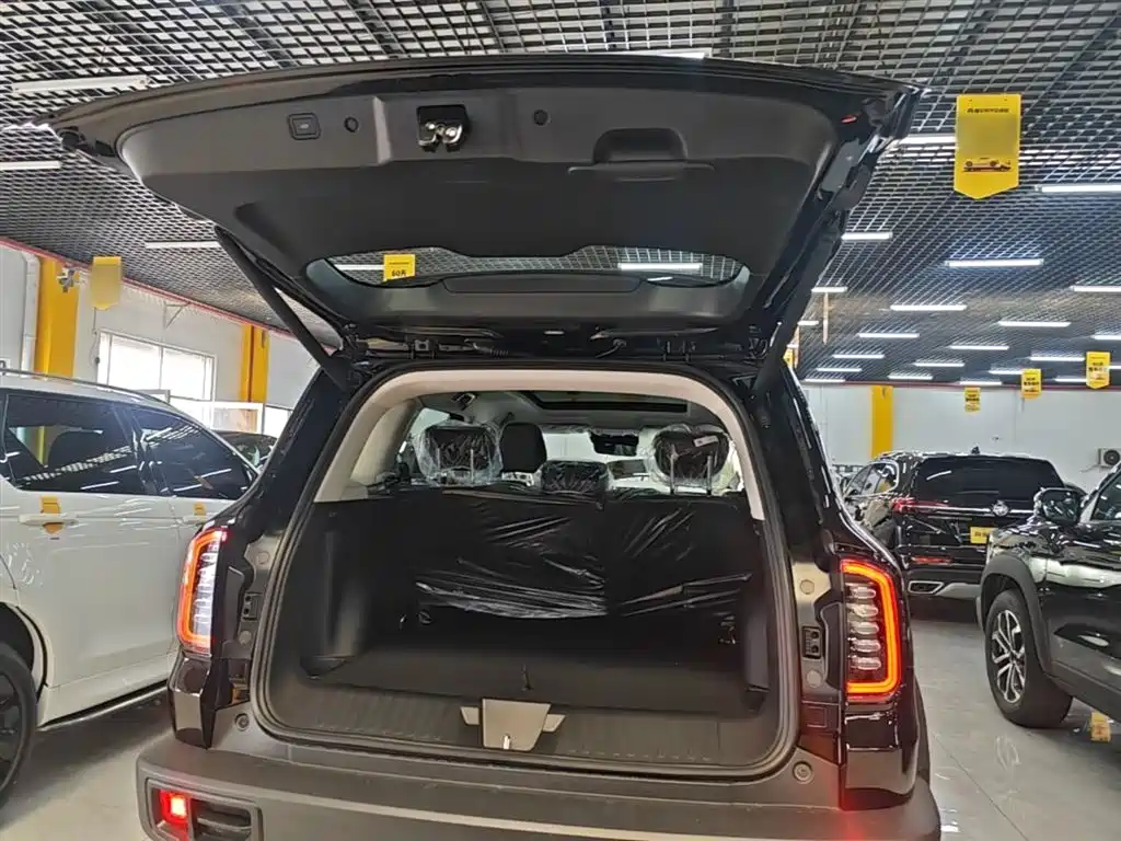 Haval Big Dog 2026 Model 1.5T High Configuration фото 19