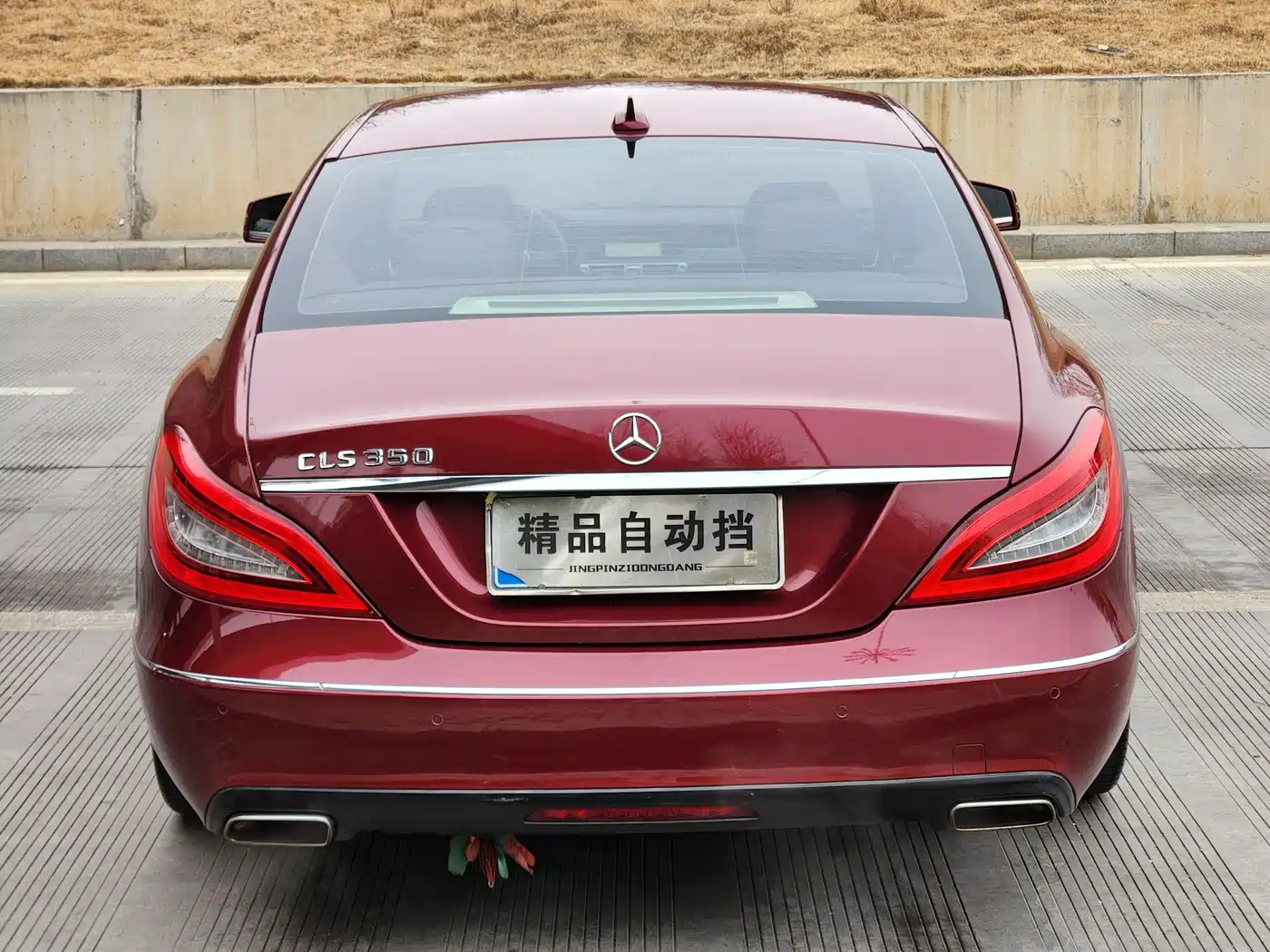 Mercedes-Benz CLS 2012 CLS 300 CGI фото 3