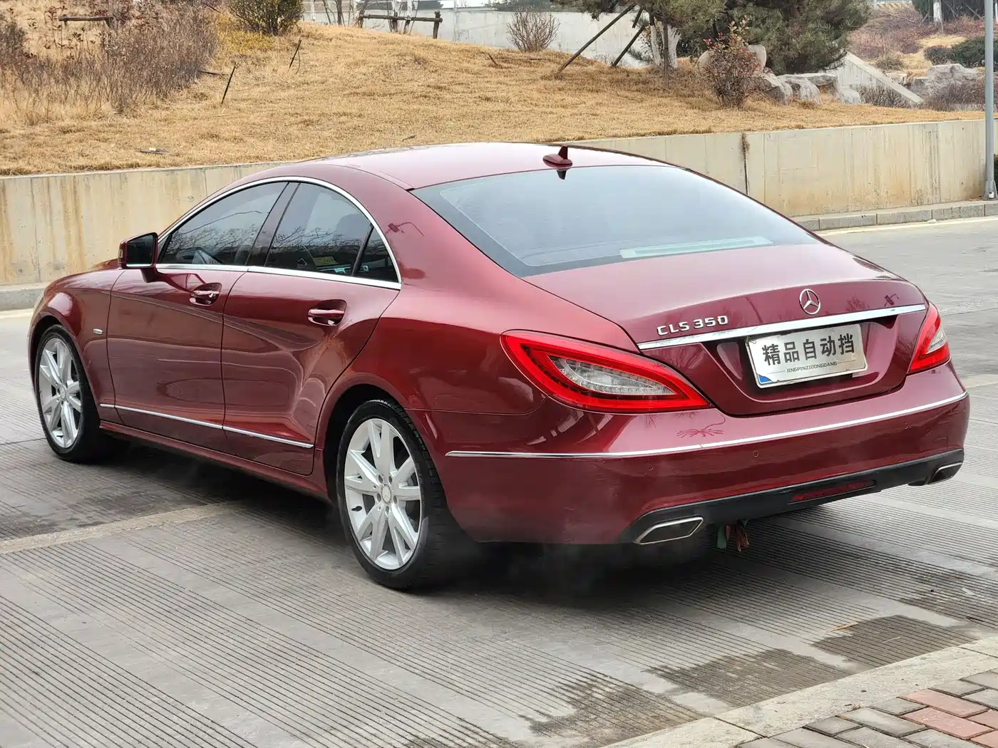 Mercedes-Benz CLS 2012 CLS 300 CGI фото 2