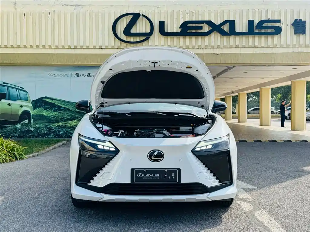 Lexus RZ 2023 450e 4WD Deluxe фото 10