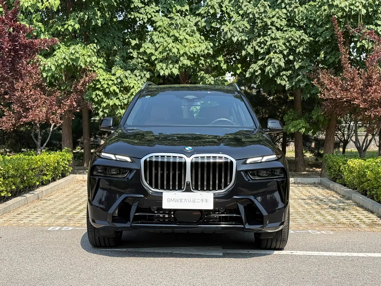 صورة 5 - BMW X7