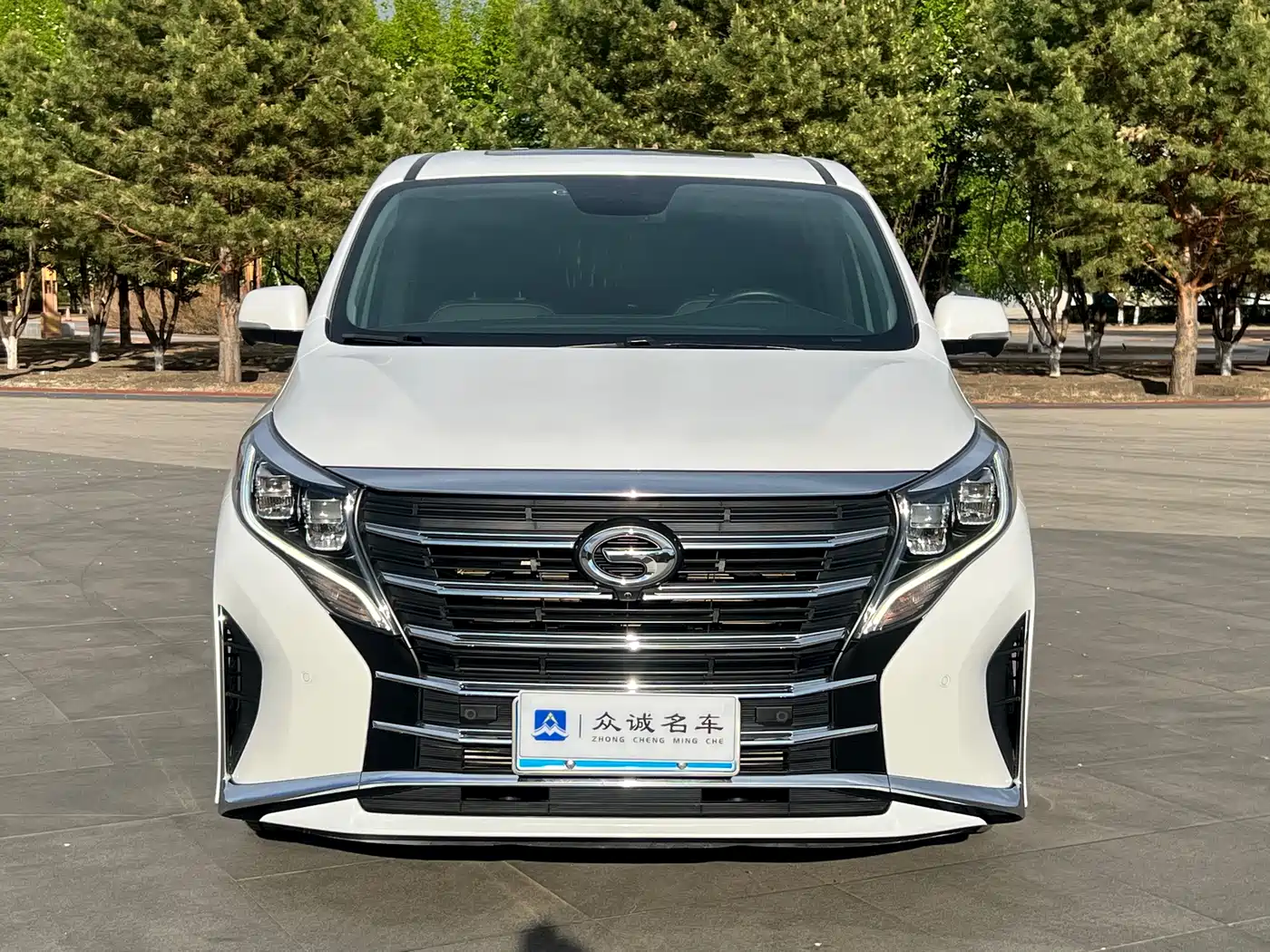 GAC Trumpchi Trumpchi M8 2023 Leading Series 390T Prestige Edition фото 2