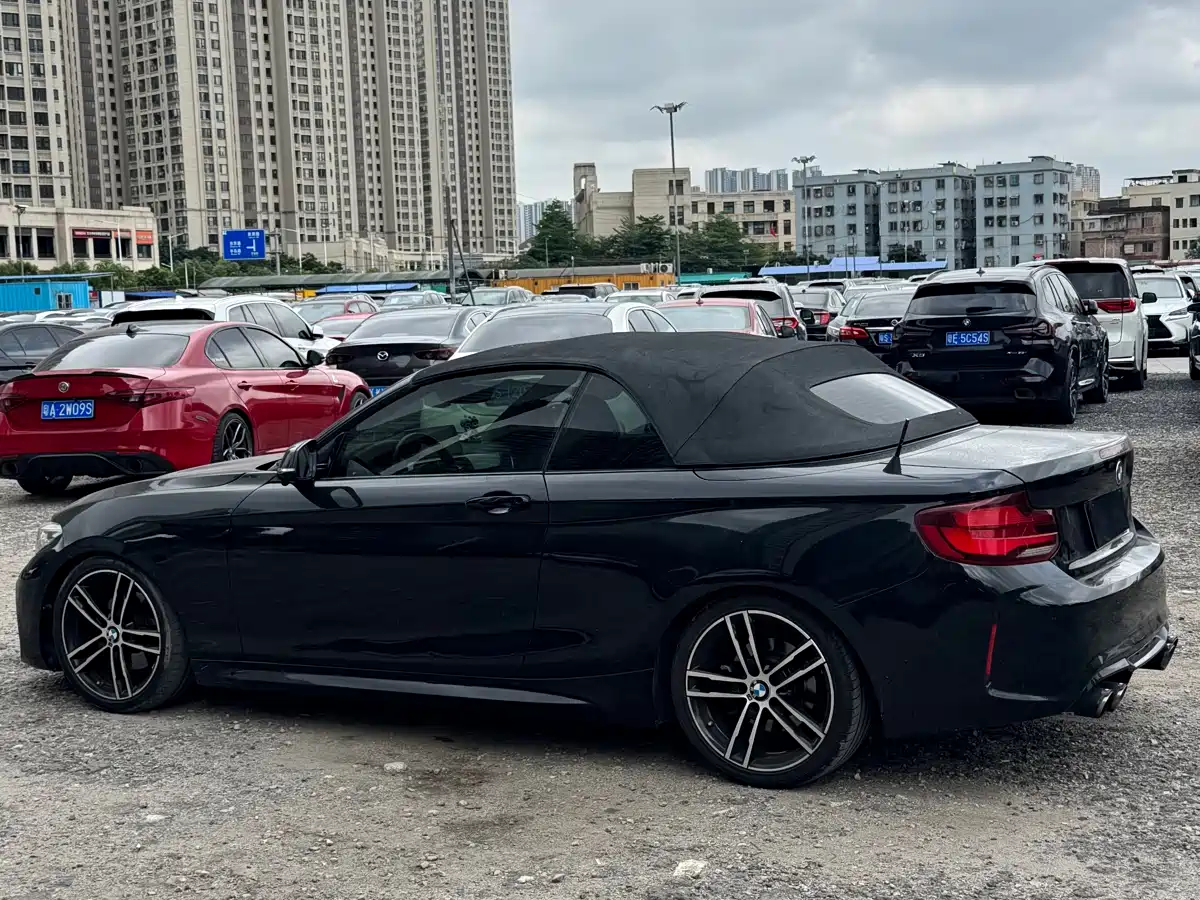 BMW 2 Series (Import) 2019 225i Convertible Coupe Exclusive M Sport Package фото 5