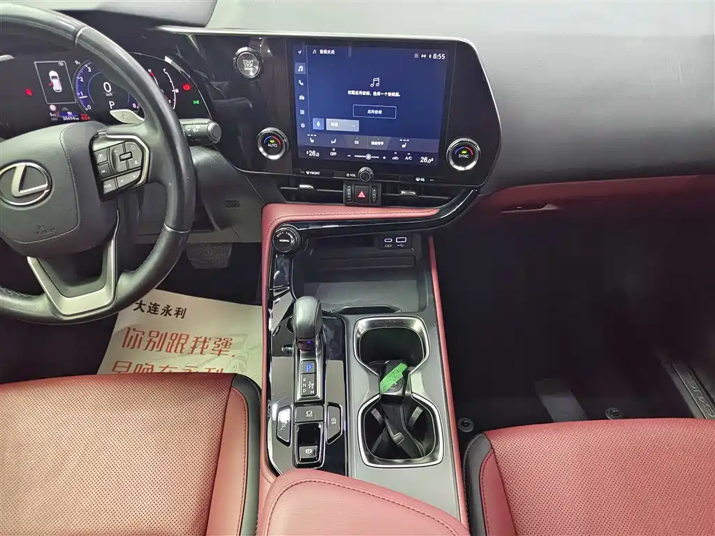 LEXUS NX