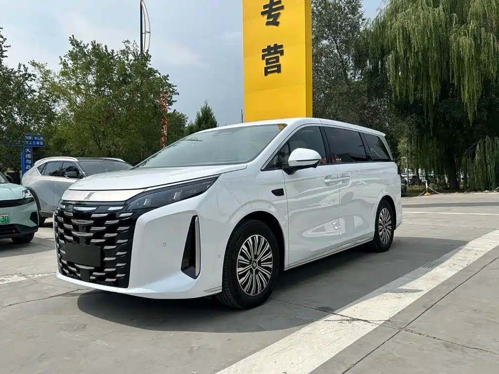 Фото 1 - BYD Xia