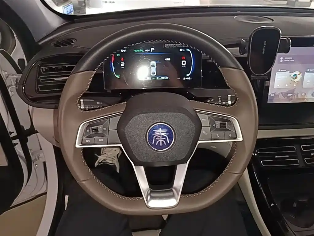 BYD Qin PLUS 2024 Glory Edition DM-i 55KM Leading фото 11