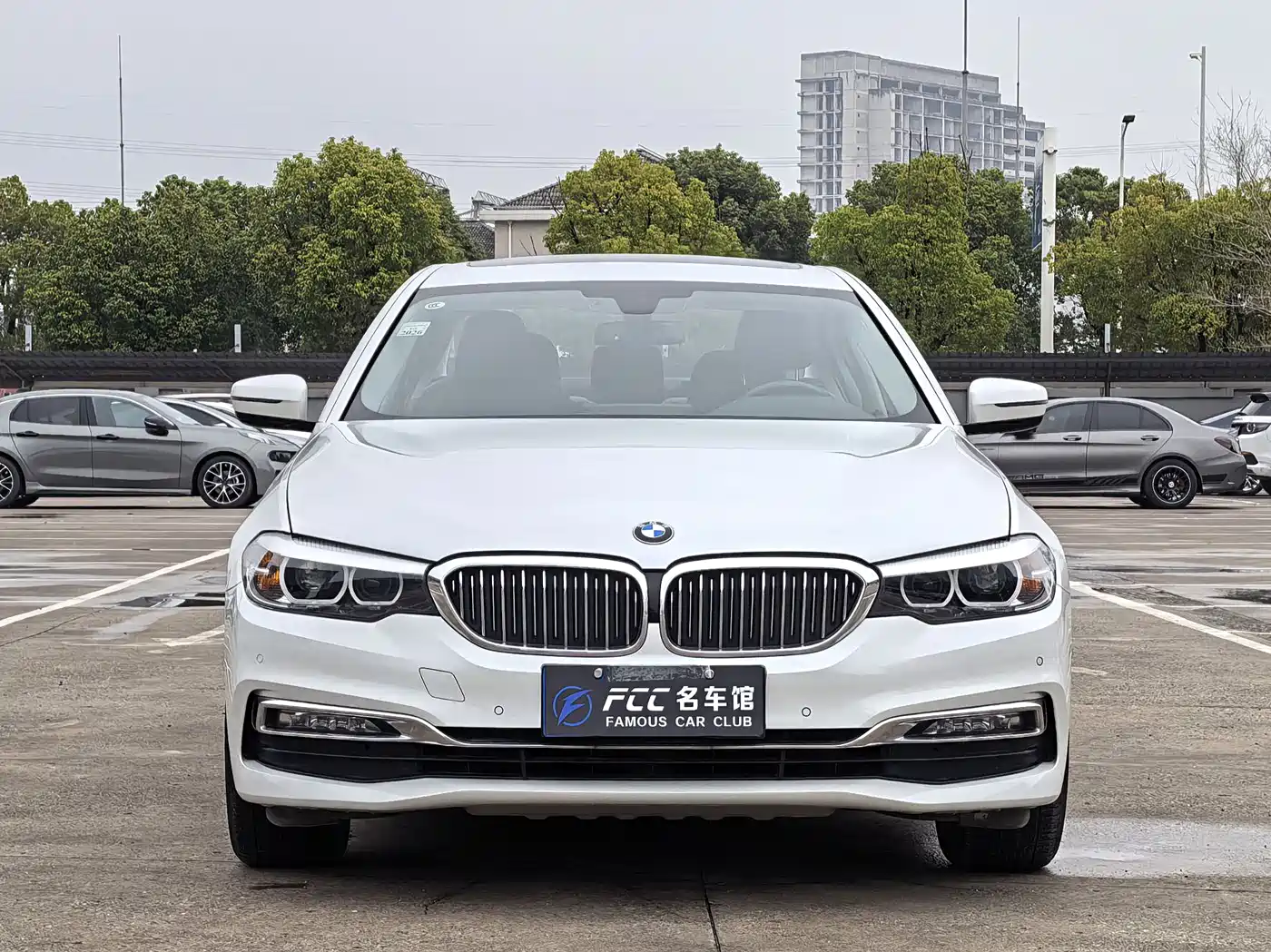 BMW 5 Series 2018 Facelift 530Li Leading Luxury Package фото 2