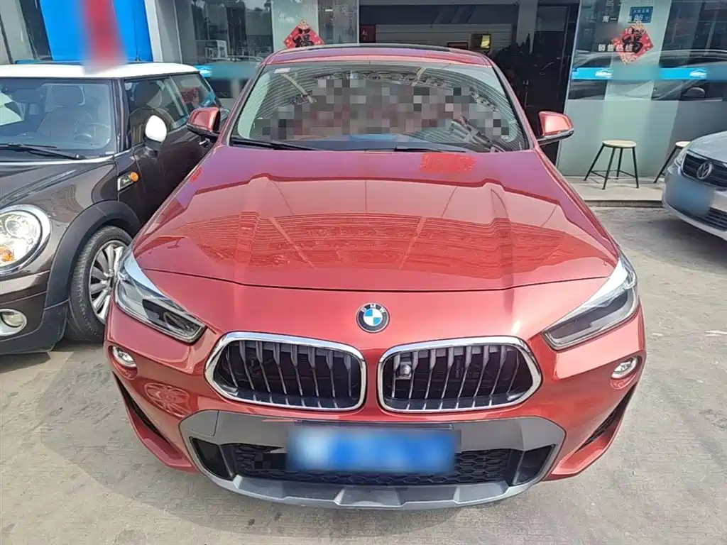 BMW X2 (Import) 2019 sDrive20i M Off-Road Package China VI фото 3