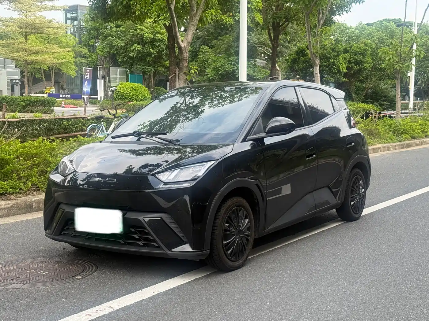BYD Seagull 2024 Glory Edition 305km Vitality Edition