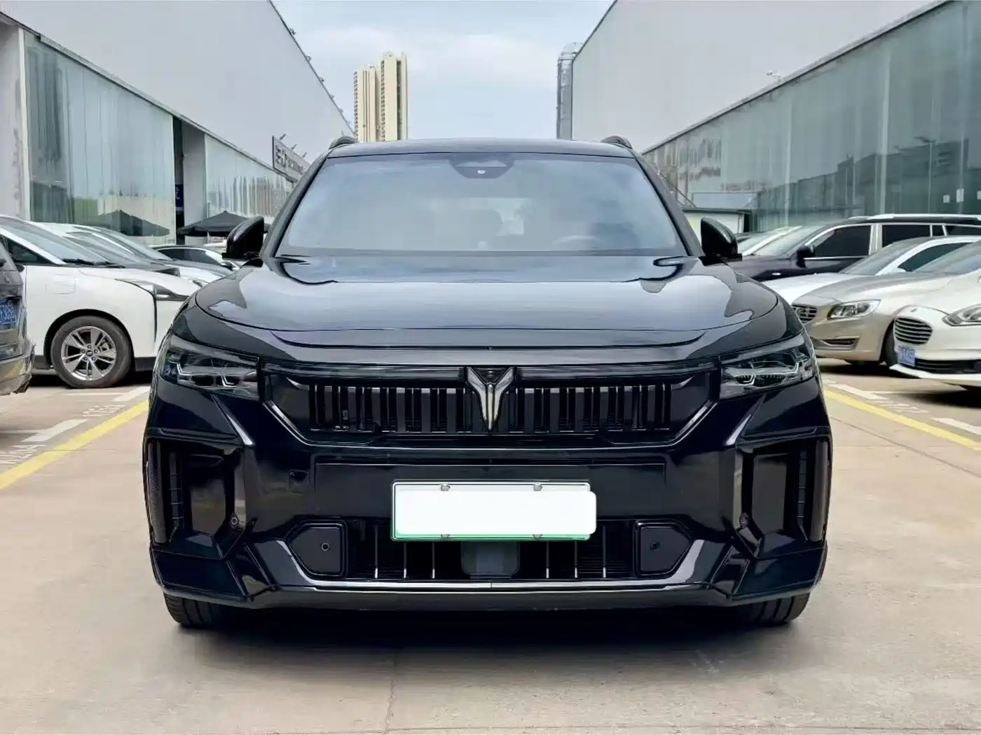 Voyah Auto VOYAH FREE 2025 2025 318 259km 4WD Explorer Edition