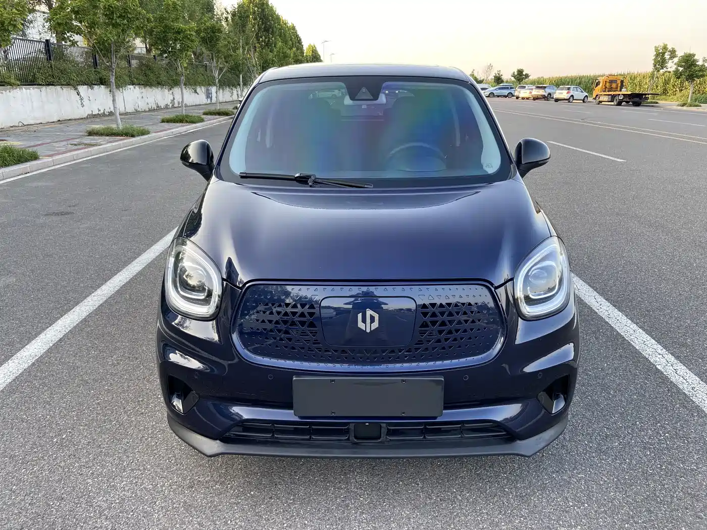 Leapmotor T03 2020 2020 400 Luxury Edition