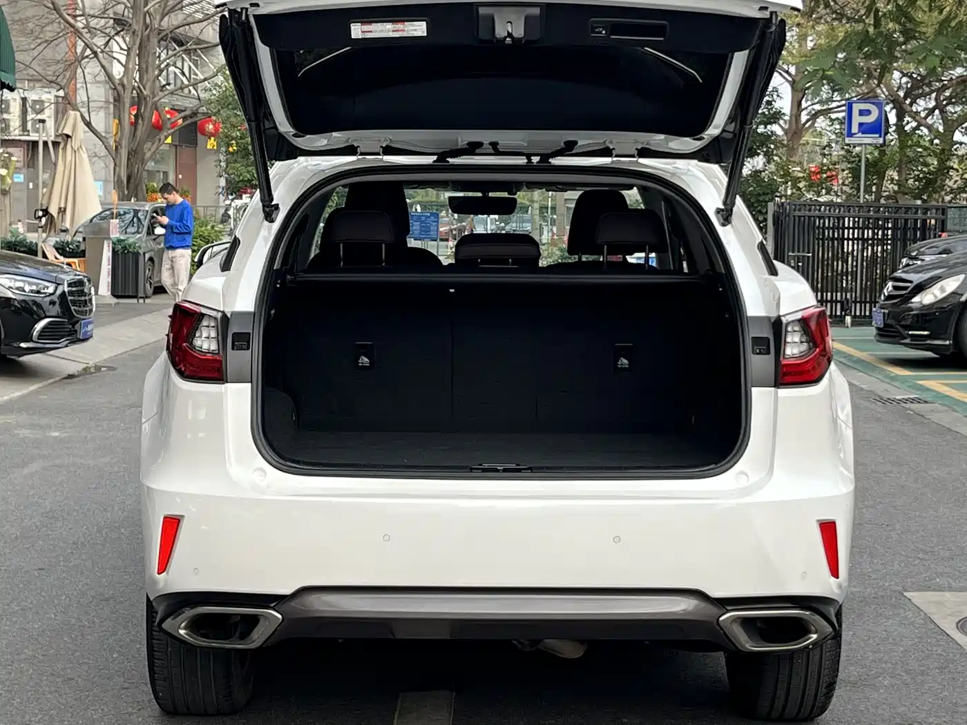 LEXUS RX