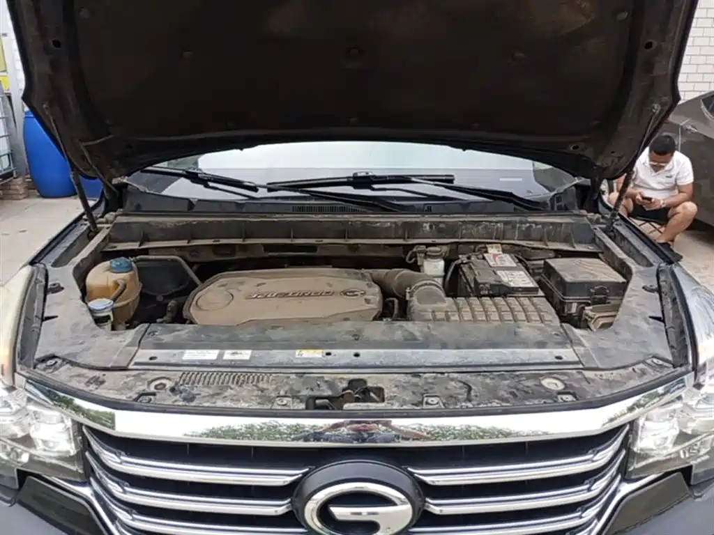 GAC Trumpchi Trumpchi GS8 2017 320T 2WD Luxury Smart Connect (7-seater) фото 20