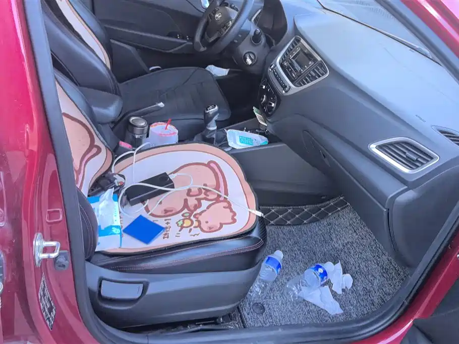 Hyundai Verna 2020 1.4L Manual GLS Cool Edition фото 8
