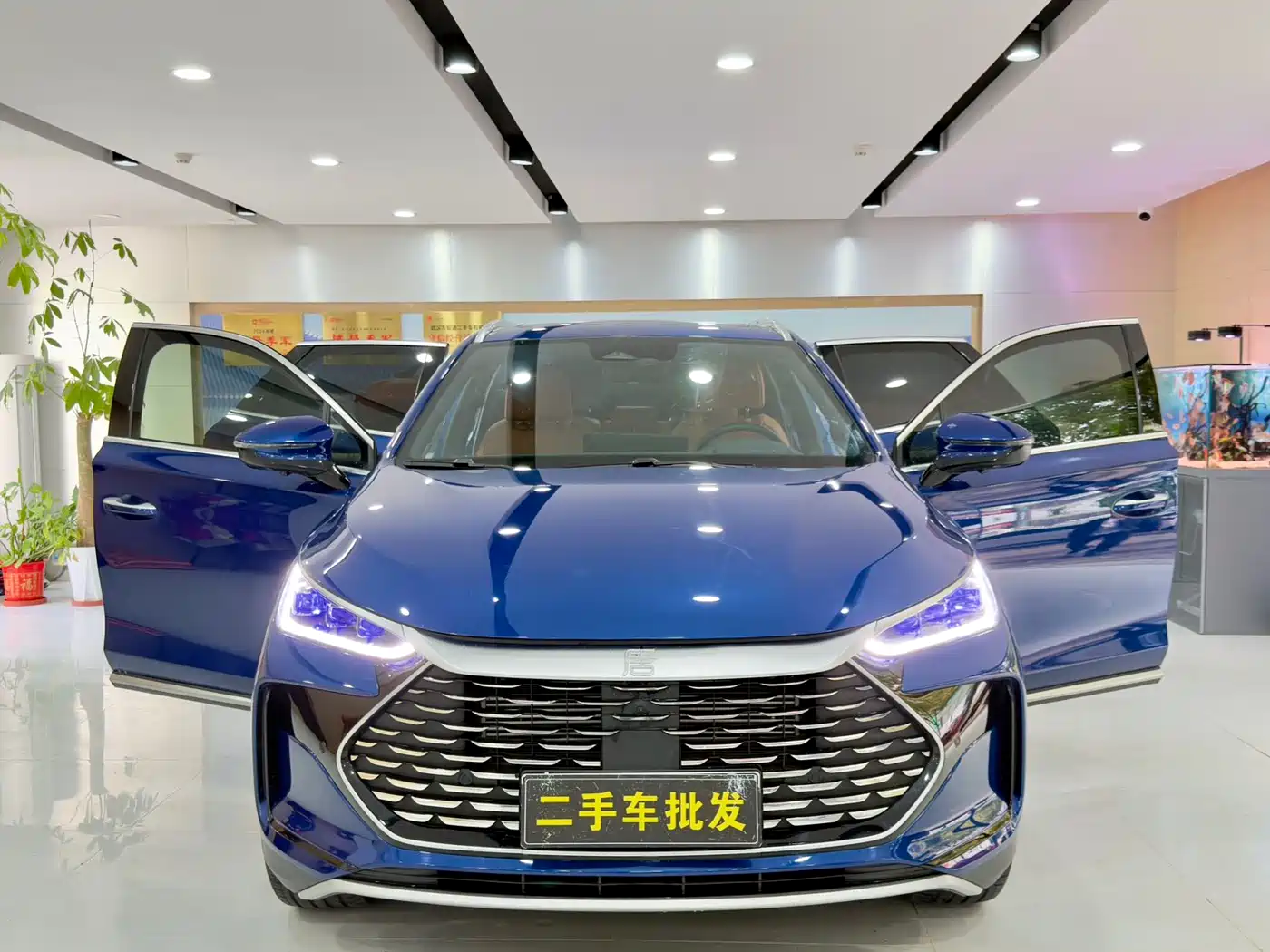 BYD Tang New Energy 2022 DM-p 215KM AWD Executive фото 17