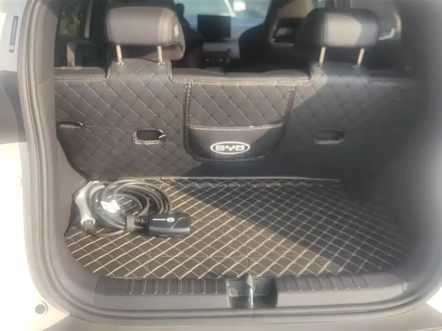 BYD Seagull 2024 Glory Edition 305km Vitality Edition фото 4