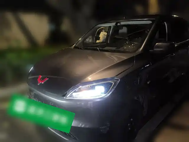  Wuling Motors Wuling Hongguang New Energy 2024 Model Pure Electric 300KM Utility Version