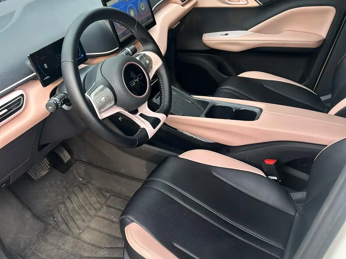 BYD Seagull 2024 Glory Edition 305km Freedom Edition фото 9