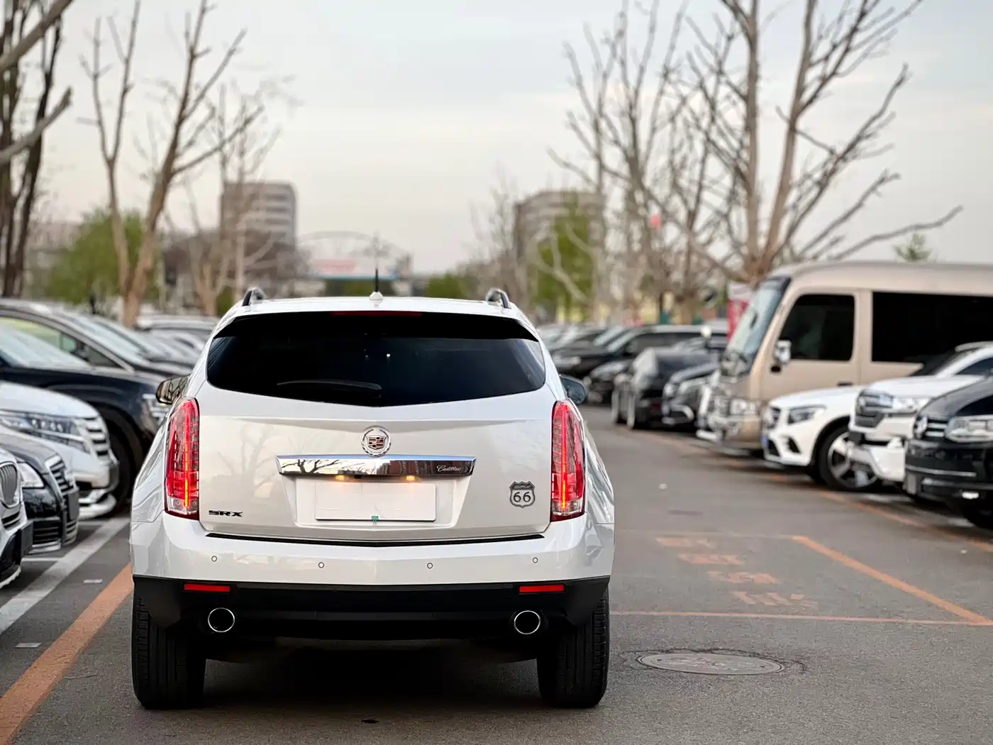 Cadillac SRX 2014 3.0L Elite Model фото 7