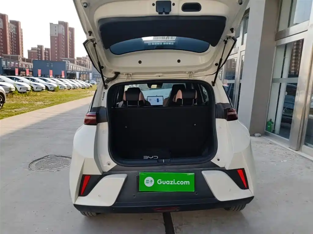 BYD Seagull 2025 Smart Drive Edition 305km Freedom Version фото 19