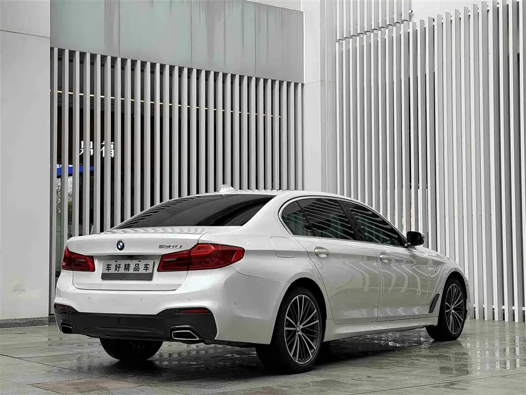 BMW 5 Series 2020 530Li Exclusive M Sport Package фото 17
