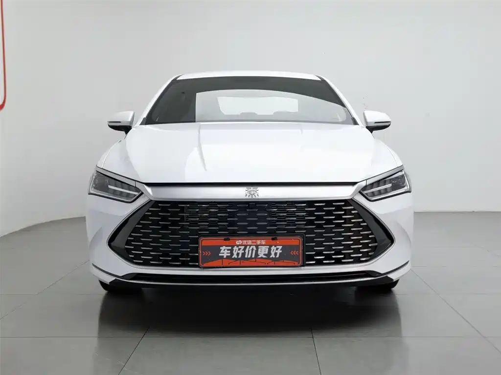 BYD Qin PLUS 2024 Glory Edition DM-i 55KM Leading фото 3