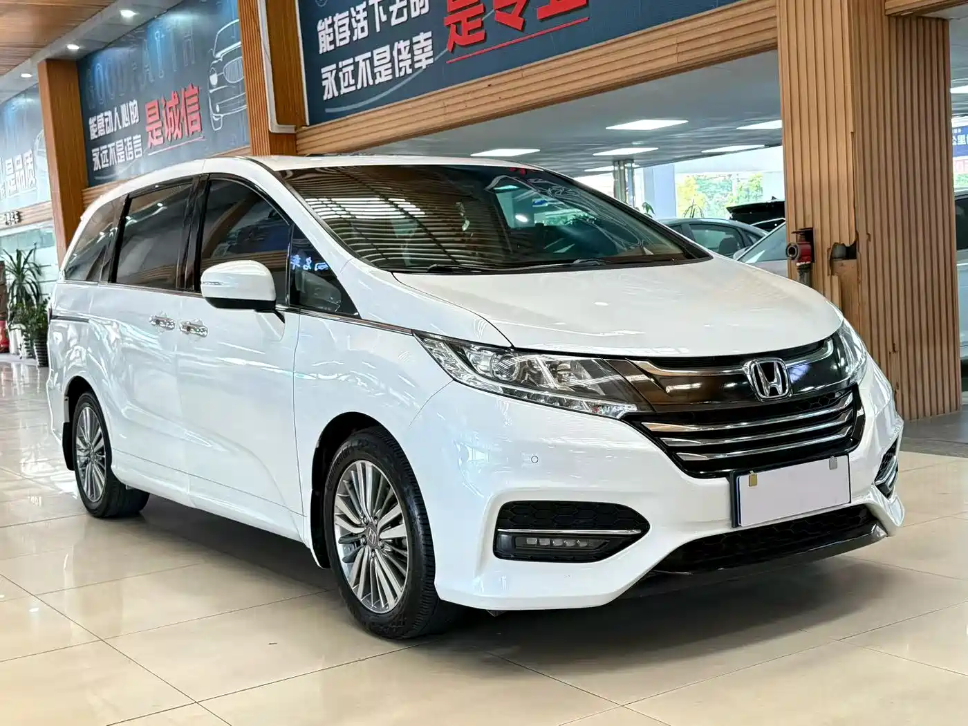 HONDA ODYSSEY